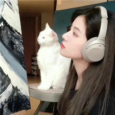 狐狸与我国语